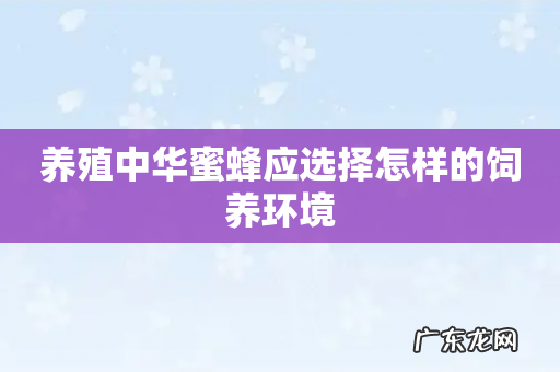 养殖中华蜜蜂应选择怎样的饲养环境