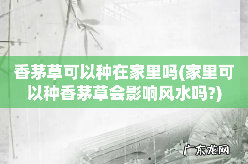 家里可以种香茅草会影响风水吗? 香茅草可以种在家里吗