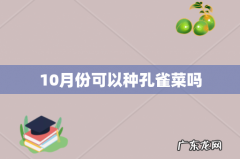 10月份可以种孔雀菜吗