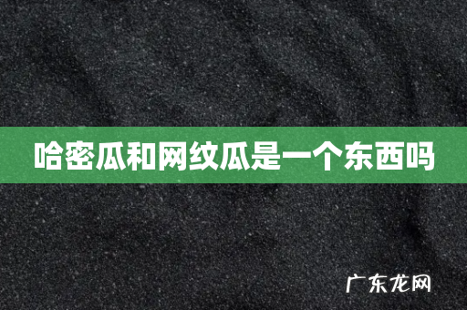 哈密瓜和网纹瓜是一个东西吗