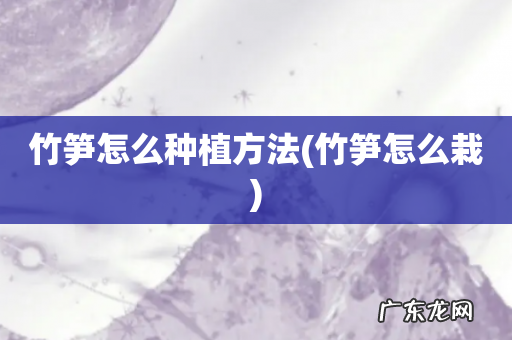 竹笋怎么栽 竹笋怎么种植方法