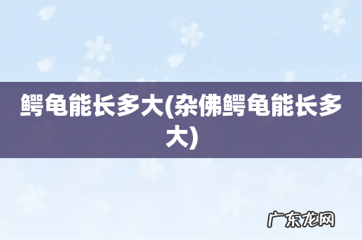 杂佛鳄龟能长多大 鳄龟能长多大