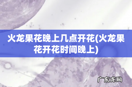 火龙果花开花时间晚上 火龙果花晚上几点开花