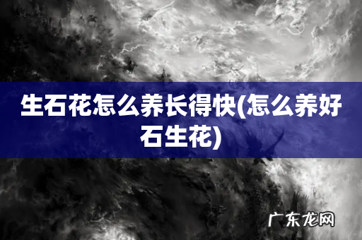 怎么养好石生花 生石花怎么养长得快