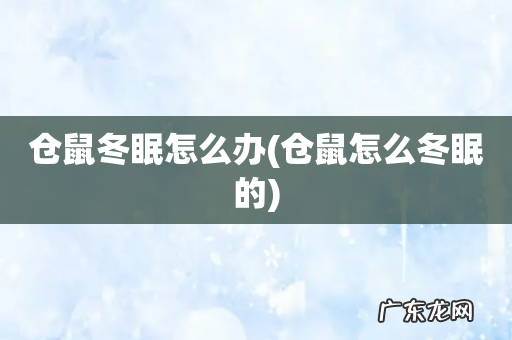 仓鼠怎么冬眠的 仓鼠冬眠怎么办