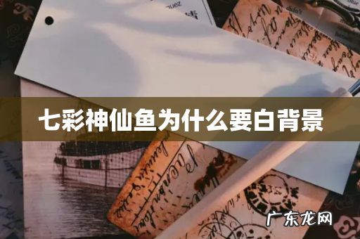 七彩神仙鱼为什么要白背景