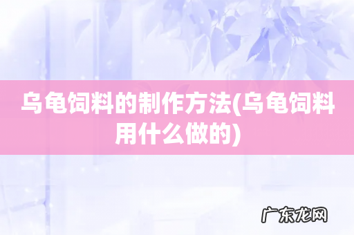 乌龟饲料用什么做的 乌龟饲料的制作方法