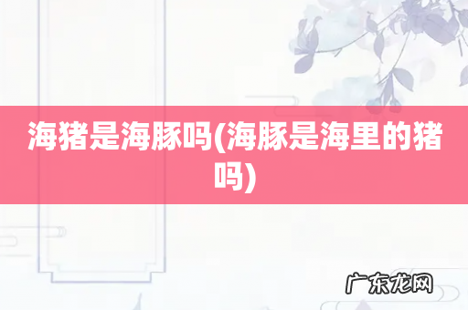 海豚是海里的猪吗 海猪是海豚吗