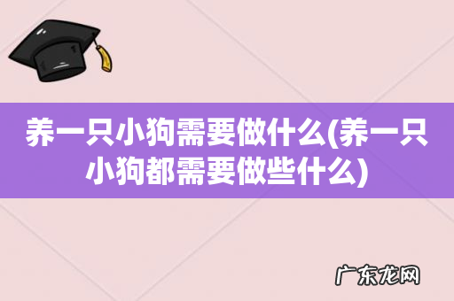 养一只小狗都需要做些什么 养一只小狗需要做什么