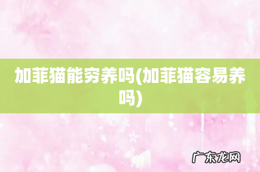 加菲猫容易养吗 加菲猫能穷养吗