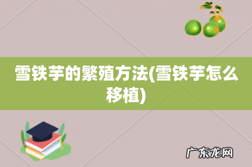 雪铁芋怎么移植 雪铁芋的繁殖方法