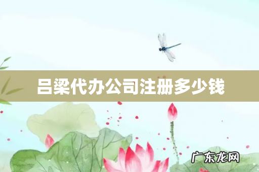 吕梁代办公司注册多少钱