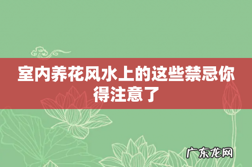 室内养花风水上的这些禁忌你得注意了