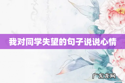 我对同学失望的句子说说心情