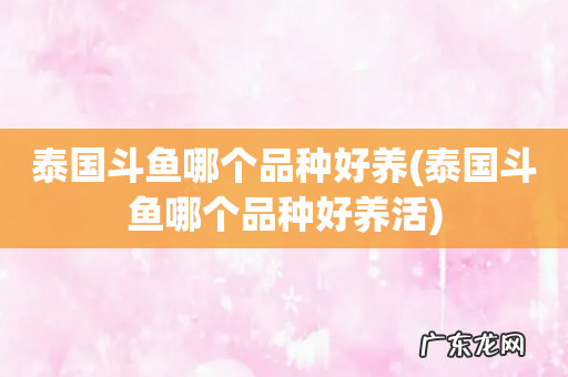 泰国斗鱼哪个品种好养活 泰国斗鱼哪个品种好养