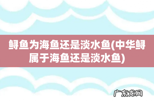 中华鲟属于海鱼还是淡水鱼 鲟鱼为海鱼还是淡水鱼