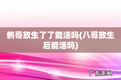 八哥放生后能活吗 鹩哥放生了了能活吗