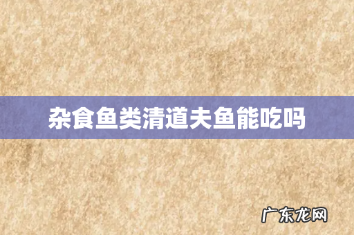 杂食鱼类清道夫鱼能吃吗