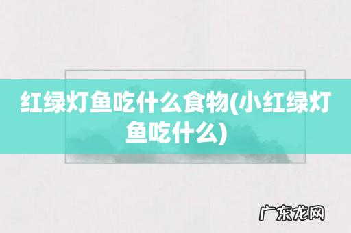 小红绿灯鱼吃什么 红绿灯鱼吃什么食物