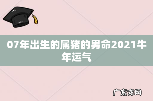 07年出生的属猪的男命2021牛年运气