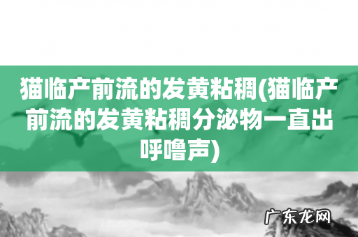 猫临产前流的发黄粘稠分泌物一直出呼噜声 猫临产前流的发黄粘稠