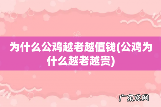 公鸡为什么越老越贵 为什么公鸡越老越值钱