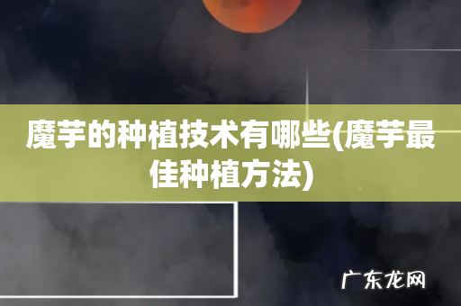 魔芋最佳种植方法 魔芋的种植技术有哪些