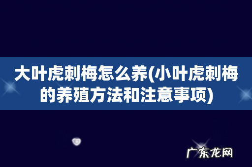 小叶虎刺梅的养殖方法和注意事项 大叶虎刺梅怎么养