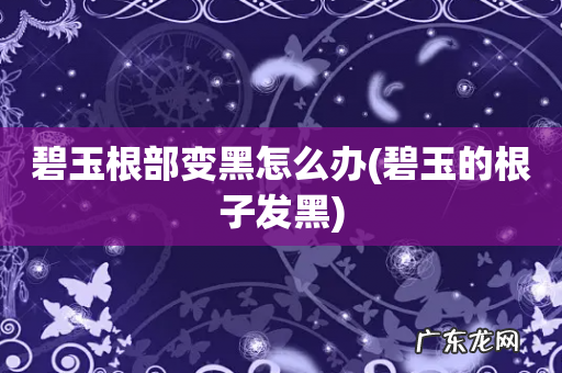 碧玉的根子发黑 碧玉根部变黑怎么办