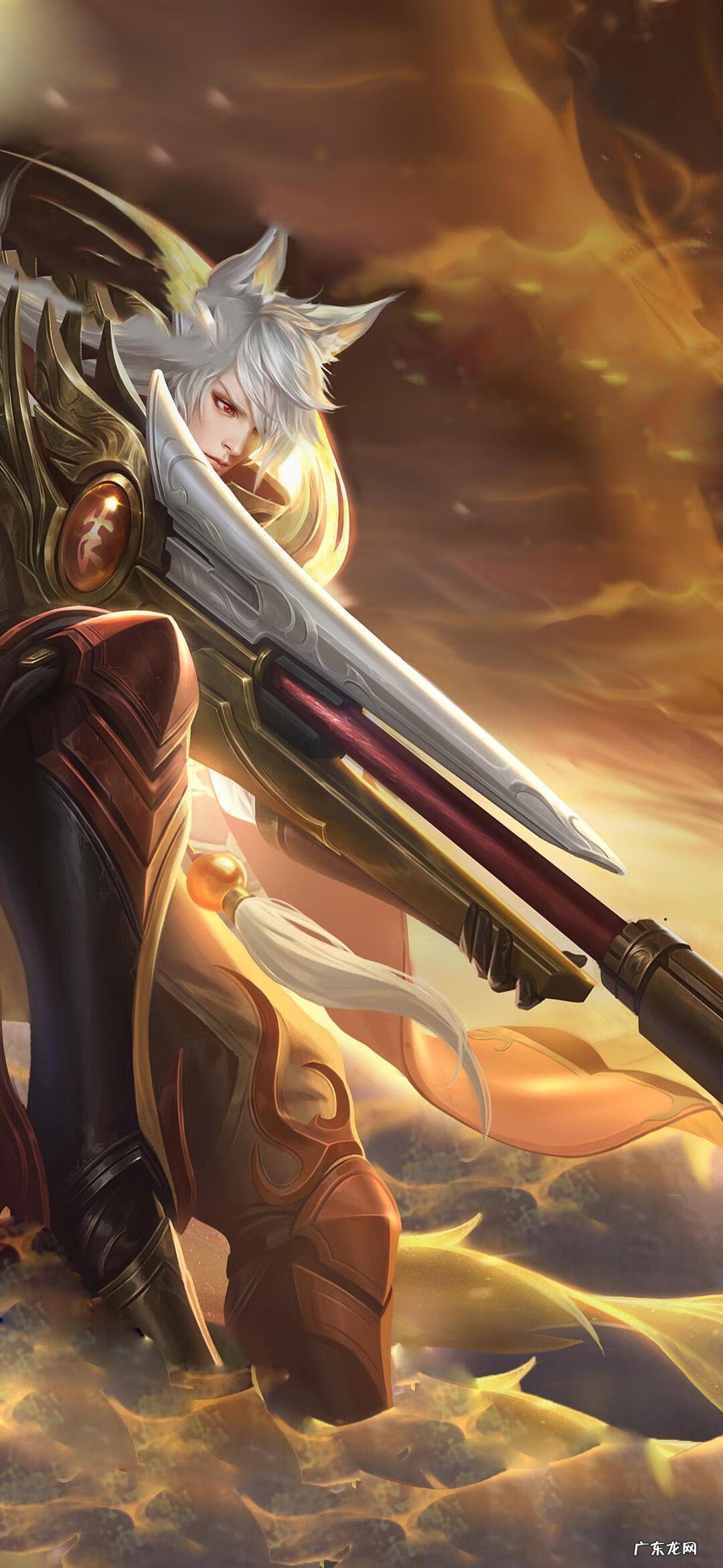 朱雀志高清壁纸