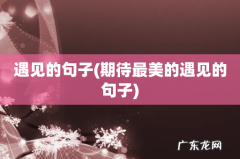 期待最美的遇见的句子 遇见的句子