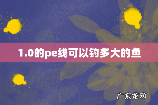 1.0的pe线可以钓多大的鱼
