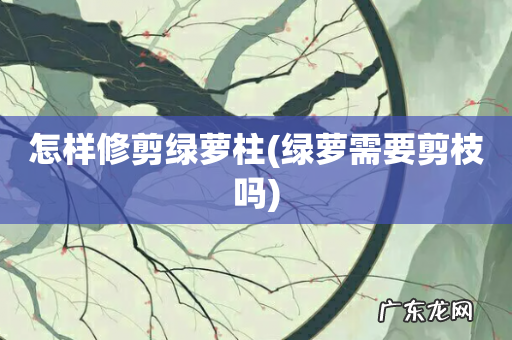 绿萝需要剪枝吗 怎样修剪绿萝柱