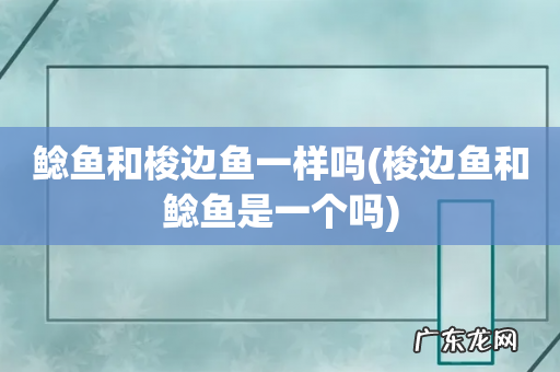 梭边鱼和鲶鱼是一个吗 鲶鱼和梭边鱼一样吗