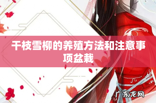 干枝雪柳的养殖方法和注意事项盆栽