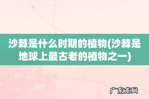 沙棘是地球上最古老的植物之一 沙棘是什么时期的植物