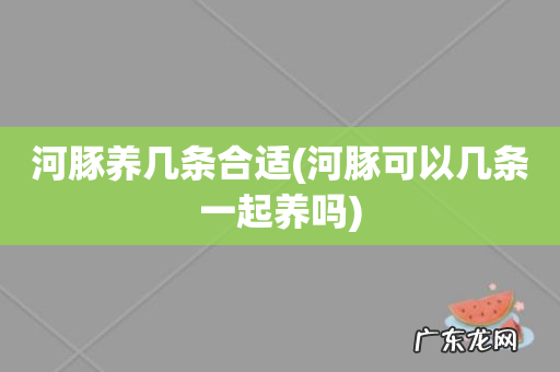 河豚可以几条一起养吗 河豚养几条合适