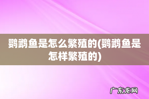 鹦鹉鱼是怎样繁殖的 鹦鹉鱼是怎么繁殖的