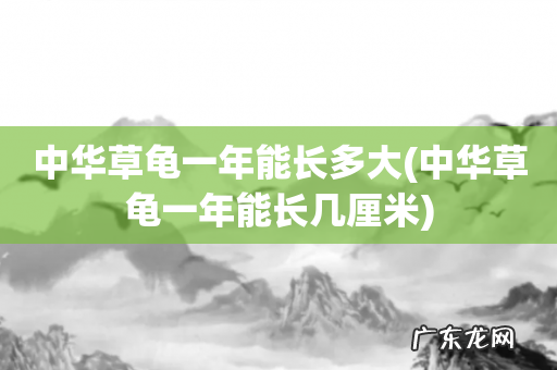 中华草龟一年能长几厘米 中华草龟一年能长多大