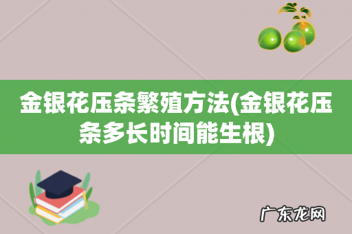 金银花压条多长时间能生根 金银花压条繁殖方法