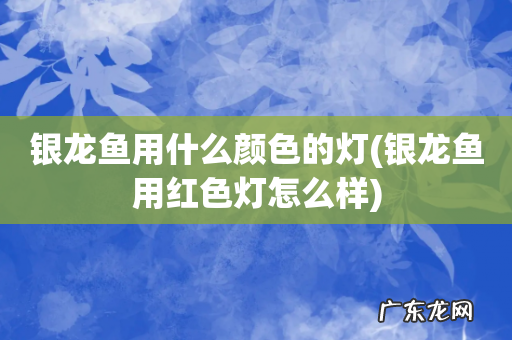 银龙鱼用红色灯怎么样 银龙鱼用什么颜色的灯