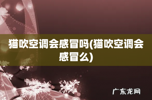 猫吹空调会感冒么 猫吹空调会感冒吗