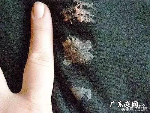 清凉油多少钱一个 清凉油价格图片