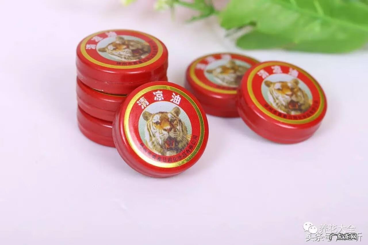 清凉油多少钱一个 清凉油价格图片