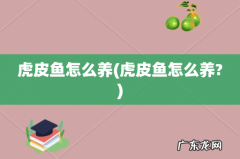 虎皮鱼怎么养? 虎皮鱼怎么养