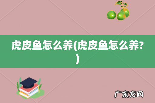 虎皮鱼怎么养? 虎皮鱼怎么养