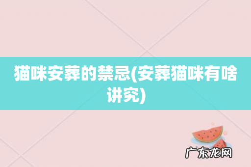 安葬猫咪有啥讲究 猫咪安葬的禁忌