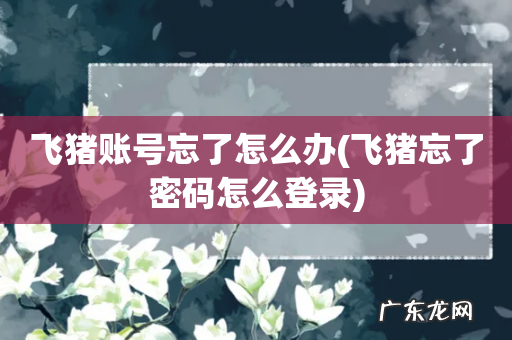 飞猪忘了密码怎么登录 飞猪账号忘了怎么办