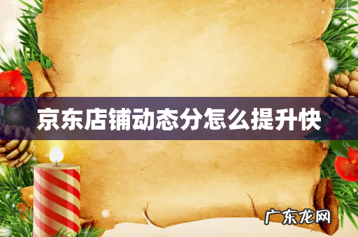京东店铺动态分怎么提升快