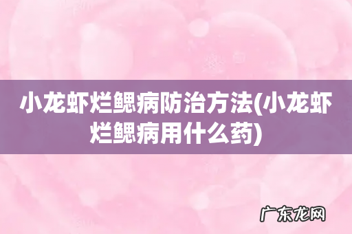 小龙虾烂鳃病用什么药 小龙虾烂鳃病防治方法